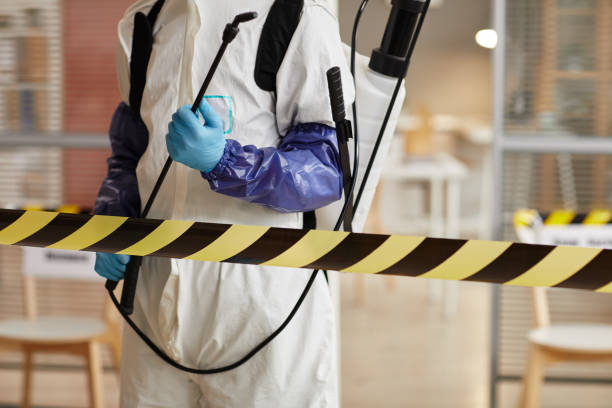 Professional Sewage Cleanup technician working in Chichester, NH